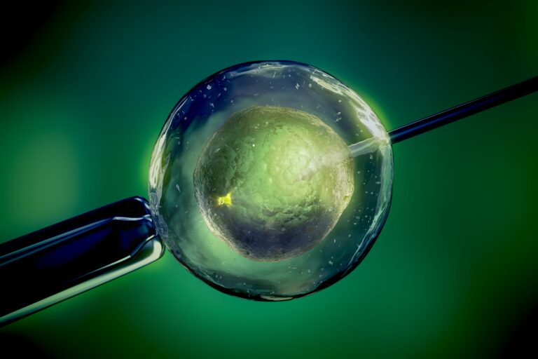 fecundación in vitro