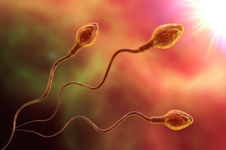 inseminacion artifical